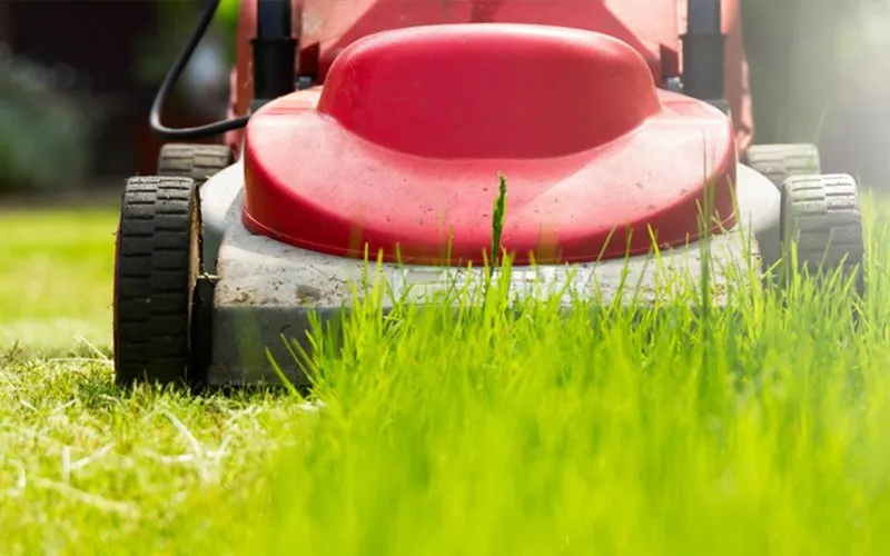 Red lawn mower cutting grass, serviced in our Bowen workshop